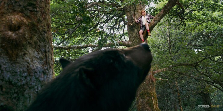 Лучшая идея года — прятаться от медведя-наркомана на дереве (фото)