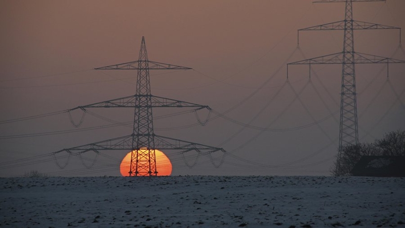 В Австрии допустили частичное отключение электричества зимой в странах ЕС