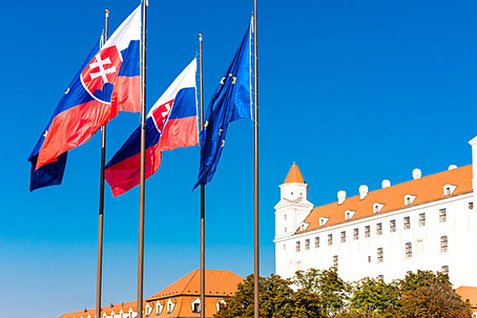 Референдум в Словакии признают недействительным