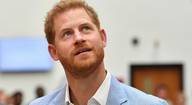 Принц Гари несколько раз упомянул Россию в своей автобиографии