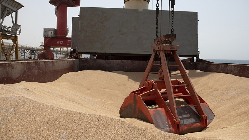 Минобороны предупредило о провокации СБУ для дискредитации РФ в рамках зерновой сделки