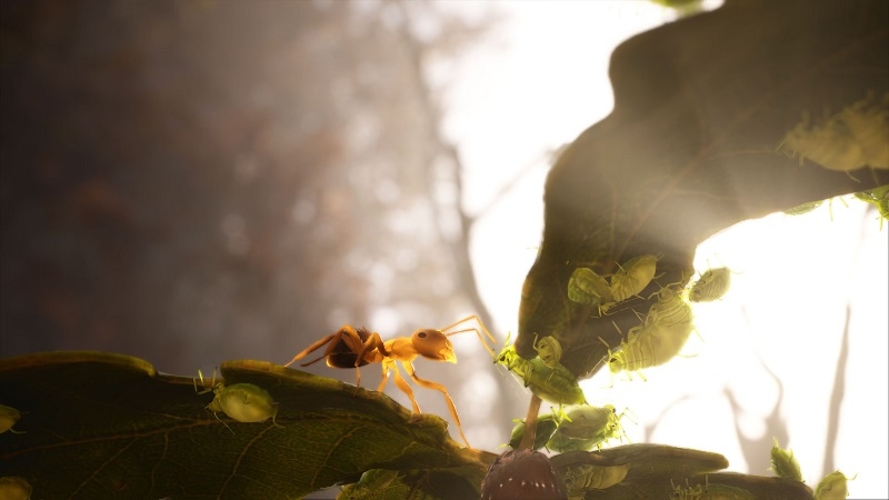 По мотивам научно-фантастического романа «Муравьи» выйдет фотореалистичная стратегия на Unreal Engine 5 — первые подробности и скриншоты