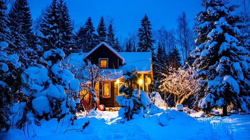 В России предложили изымать дачи и участки за долги