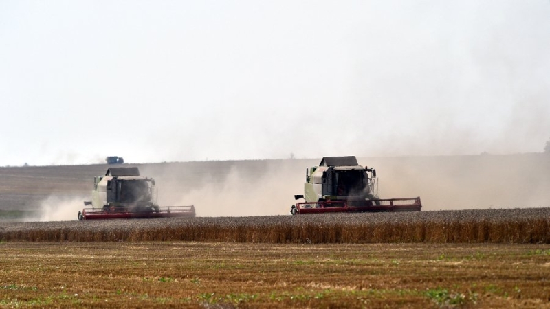Варшава намерена потребовать от ЕС возврата пошлин на украинскую сельхозпродукцию