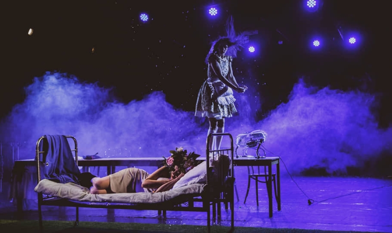 Гусиные истории