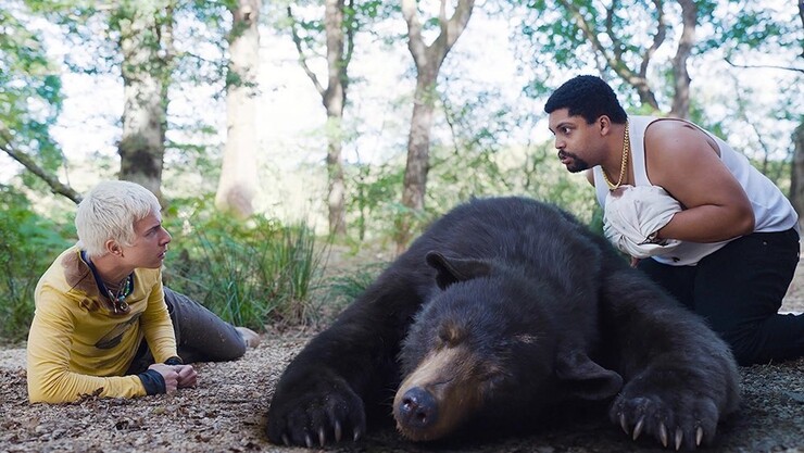 Медведь нашёл цифровую закладку: комедийный ужастик «Кокаиновый медведь» вышел в цифре