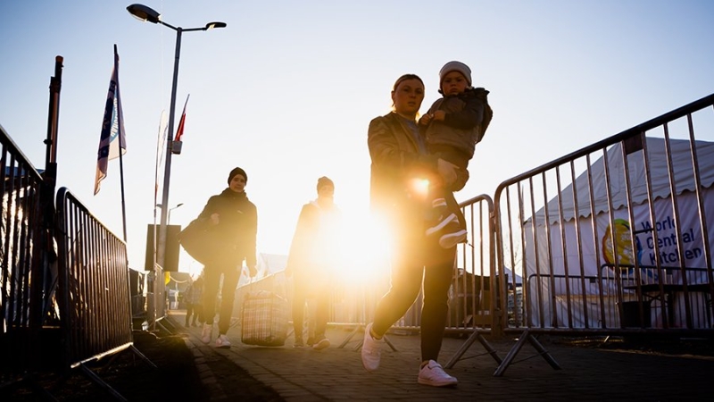 Польский историк призвал прекратить спонсировать украинских беженцев