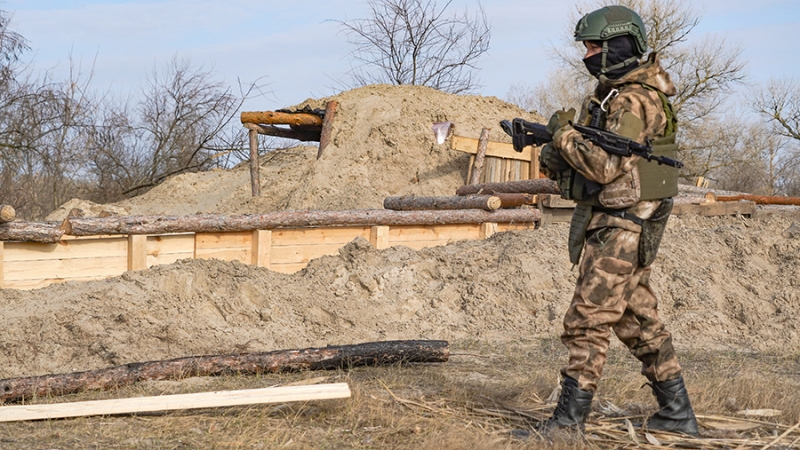 Пушилин предрек улучшение позиций ВС РФ после взятия Дубово-Василевки в ДНР