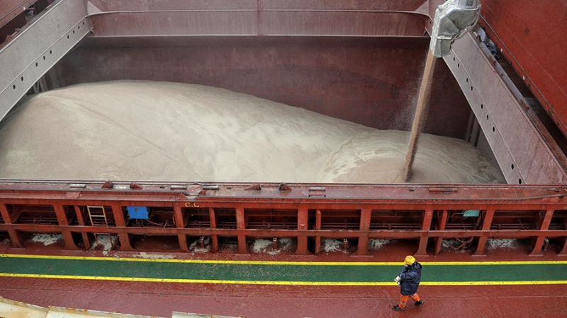 Евросоюз рассмотрит вопрос запрета на импорт украинского зерна