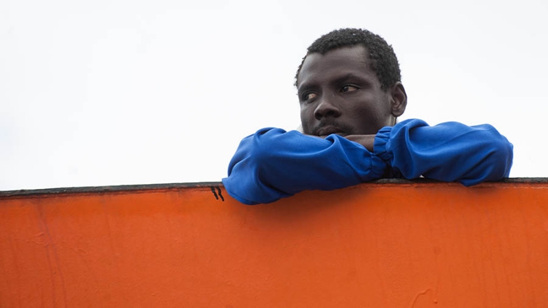 МИД РФ указал на рост антизападных настроений у молодежи в Африке