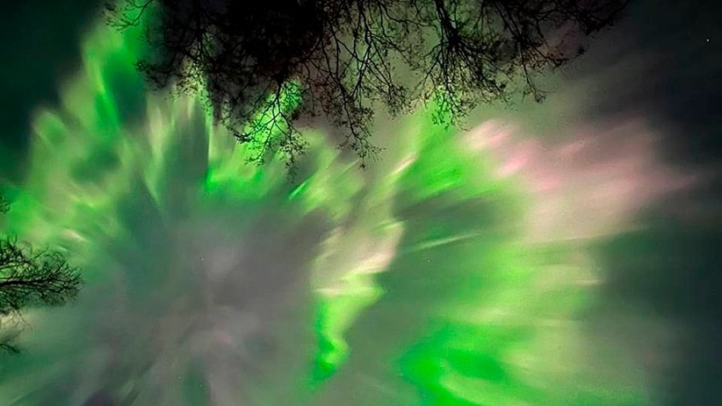 В Aurora Hunters рассказали о северном сиянии в Центральной России