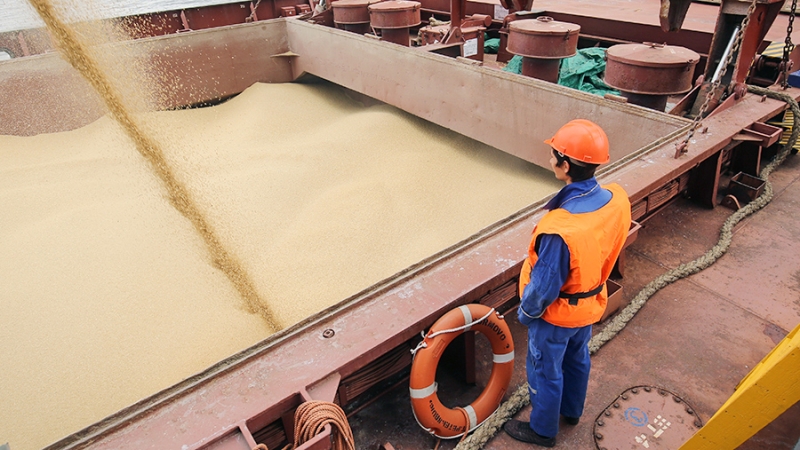 В МИДе указали на сложности с регистрацией новых судов в рамках зерновой сделки