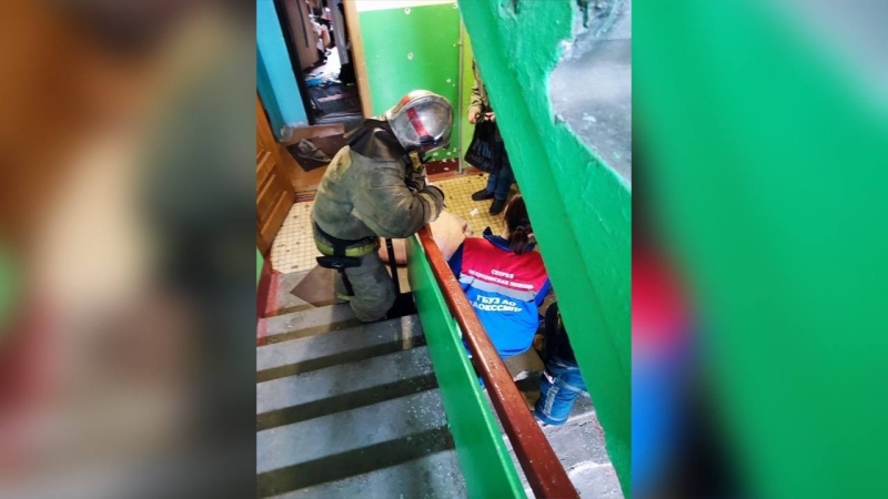 В Архангельске спасли 100-килограммовую свинью из пожара