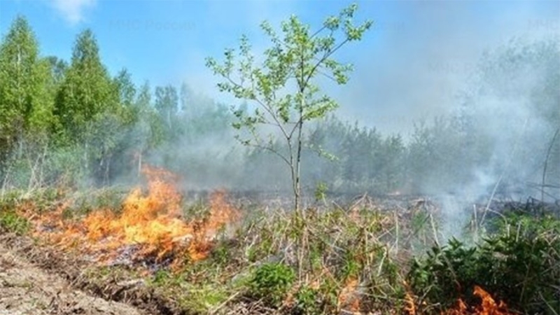 В Курганской области из-за пожароопасности объявлено штормовое предупреждение