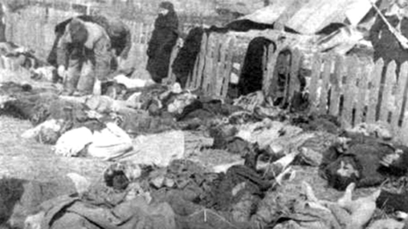 В МИД Польши призвали Зеленского взять ответственность за Волынскую резню