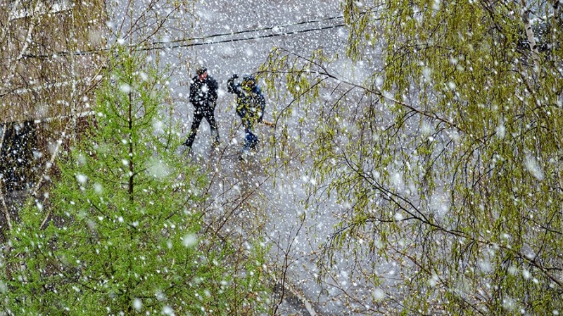 Вильфанд предупредил о снеге и заморозках в Москве в выходные