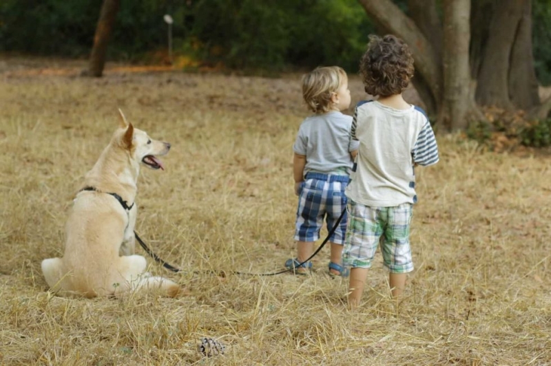 COVID может повысить риск развития диабета 1 типа у детей — новое исследование