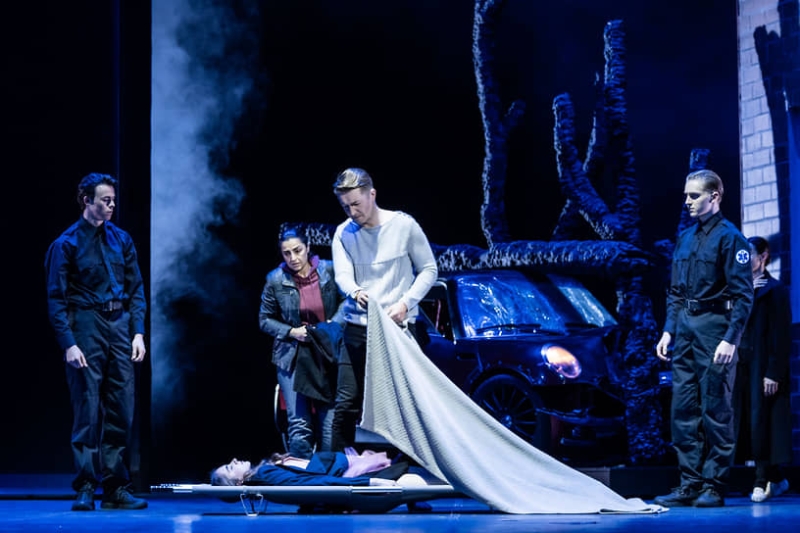 Певческое поле интерпретаций