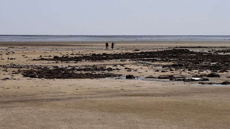 Число погибших в результате прорыва Каховской ГЭС выросло до 50 человек