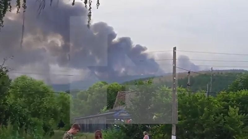 Крупный лесной пожар произошел в Ульяновской области у села Еделево