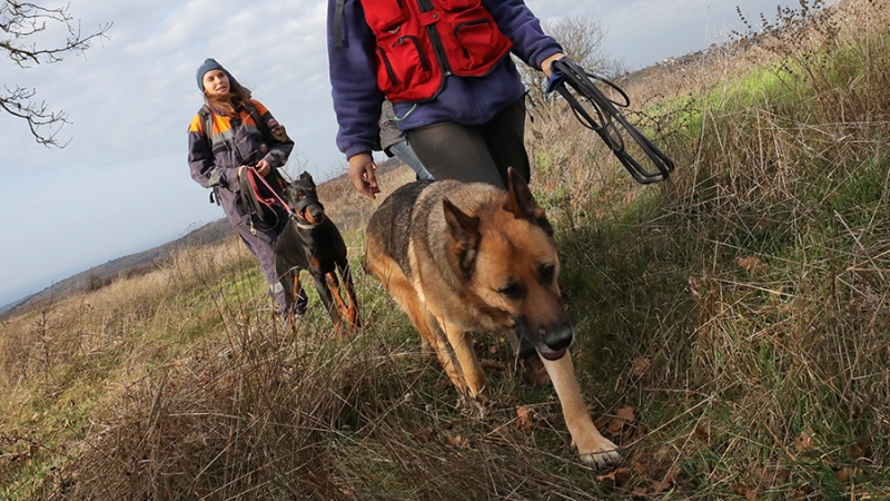 Двоих пропавших в Подмосковье мальчиков нашли живыми
