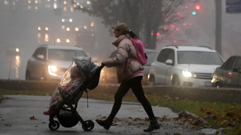 Маткапитал на первенца могут ограничить возрастом матери в 25 или 30 лет