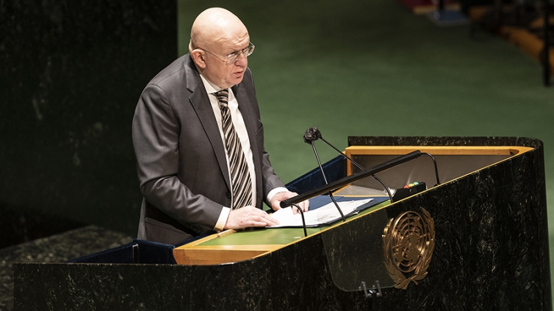 Небензя заявил о возобладании здравого смысла в ГА ООН