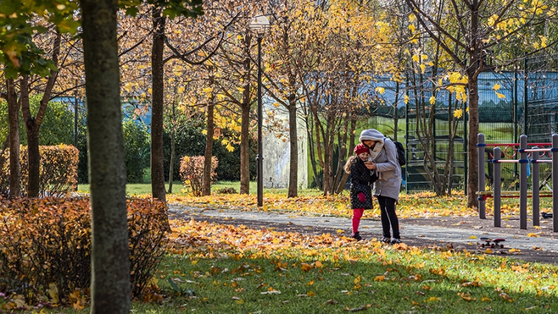 Синоптик рассказал о сроках прихода второй волны бабьего лета в Москву