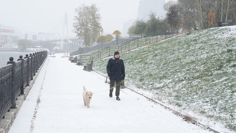Синоптики спрогнозировали осадки и до +2 в Москве 29 октября