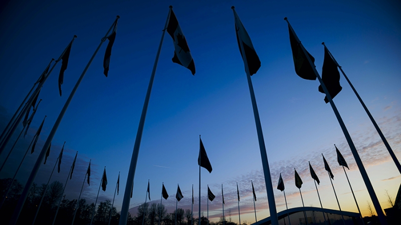 Немецкий политолог Хамер предрек поражение Киева и крах НАТО