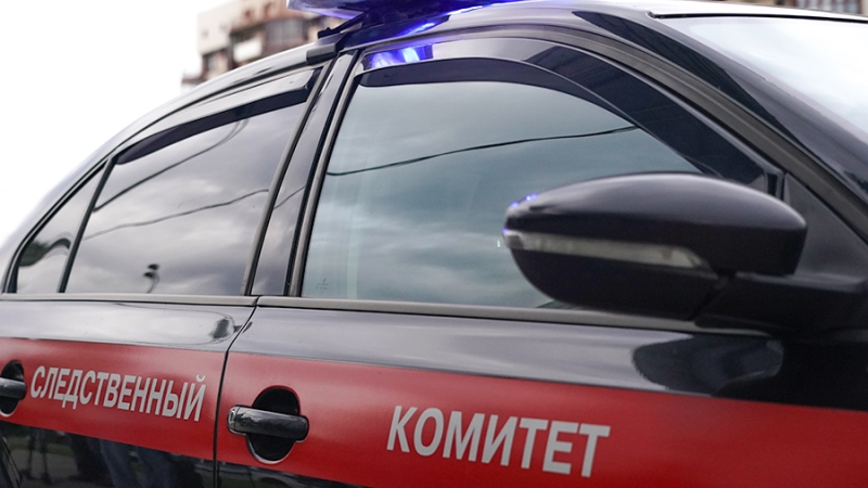 Подозреваемый в убийстве двух девушек в Москве признал вину