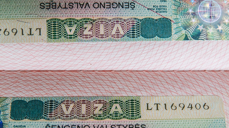 Правительство работает над упрощением визового режима с дружественными странами