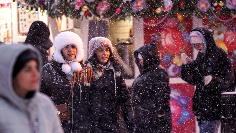 Синоптик пообещал москвичам снег на Новый год