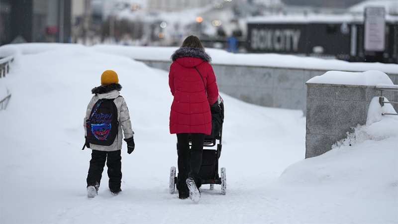 Синоптики спрогнозировали плюсовую температуру и мокрый снег в Москве 17 декабря