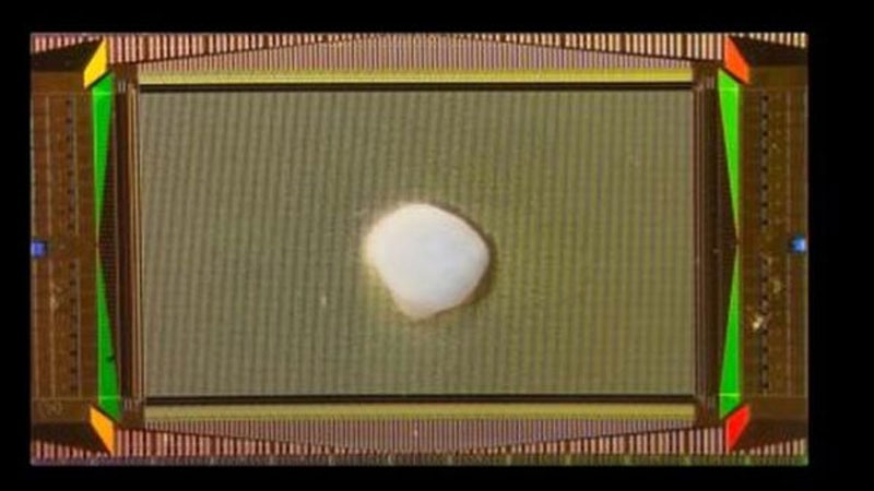 Учёные вырастили крошечный человеческий мозг с подключением к ПК — он быстро научился решать уравнения и различать людей по голосу 