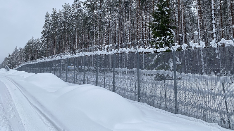 Эксперт оценил решение стран Балтии построить «линию обороны» на границе с РФ