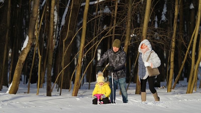 Синоптики пообещали москвичам отсутствие осадков и до –5 градусов 28 января