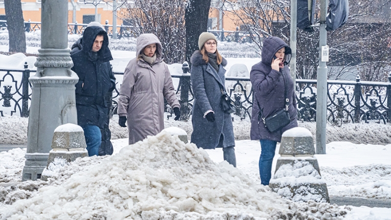 Синоптики предупредили москвичей о небольших осадках и гололедице 30 января