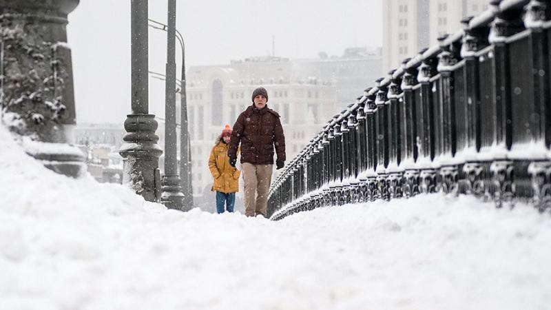 Синоптики спрогнозировали мокрый снег и гололедицу в Москве 31 января