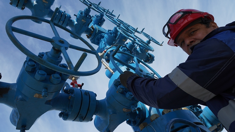 В Австрии предрекли скорое прекращение поставок газа РФ через Украину