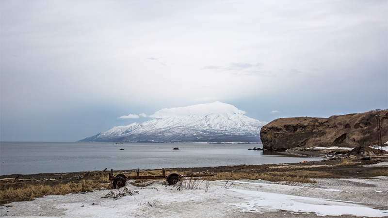 В Японии заявили о неизменной позиции по Курилам и мирному договору с РФ