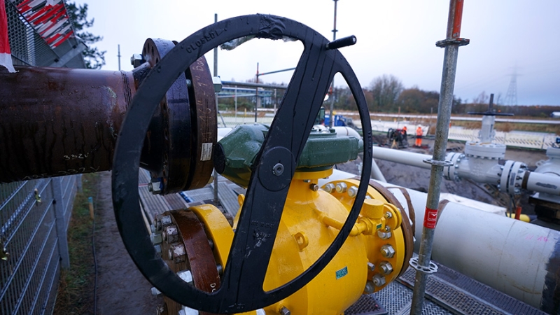 Экономист заявил о покупке ФРГ газа и нефти США по высоким ценам из-за Украины