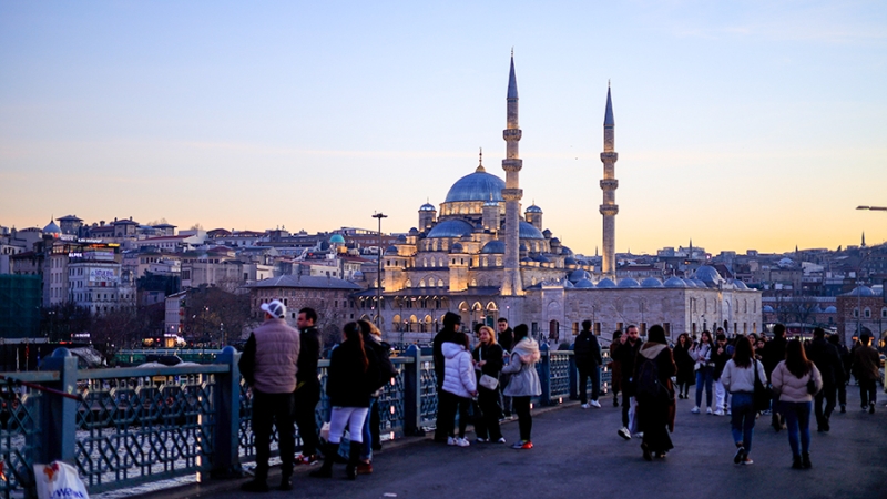 Турция возобновила расчеты с РФ по медицине, туризму и сельхозпродукции