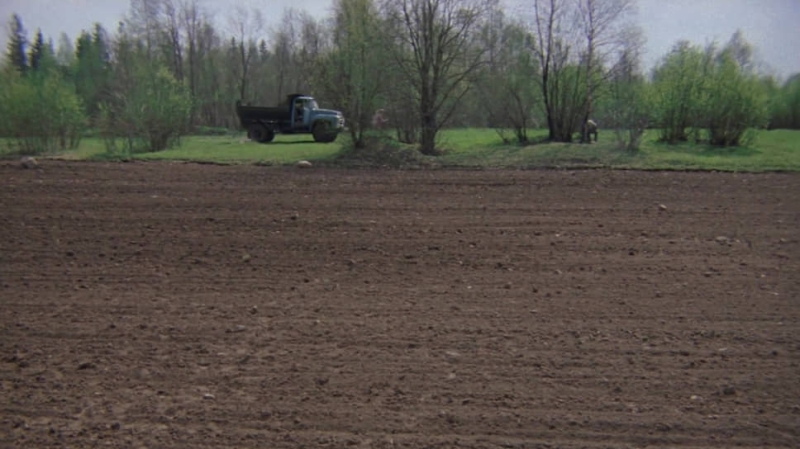 Из почвы в почву