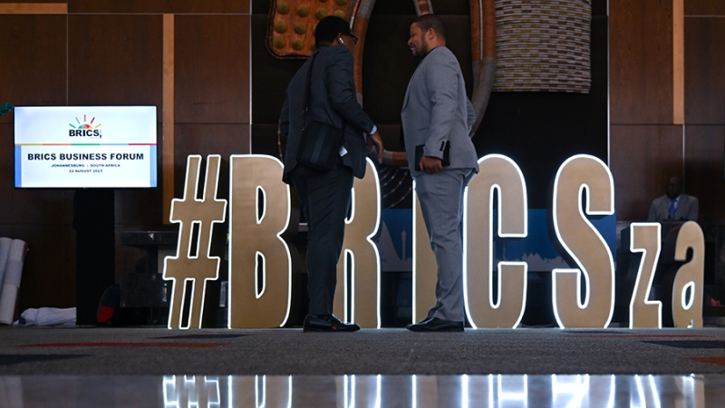 Швейцария пригласила партнеров России по БРИКС на конференцию по Украине