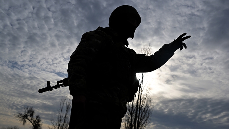 Войска РФ в ходе СВО за неделю нанесли 27 групповых ударов оружием большой дальности