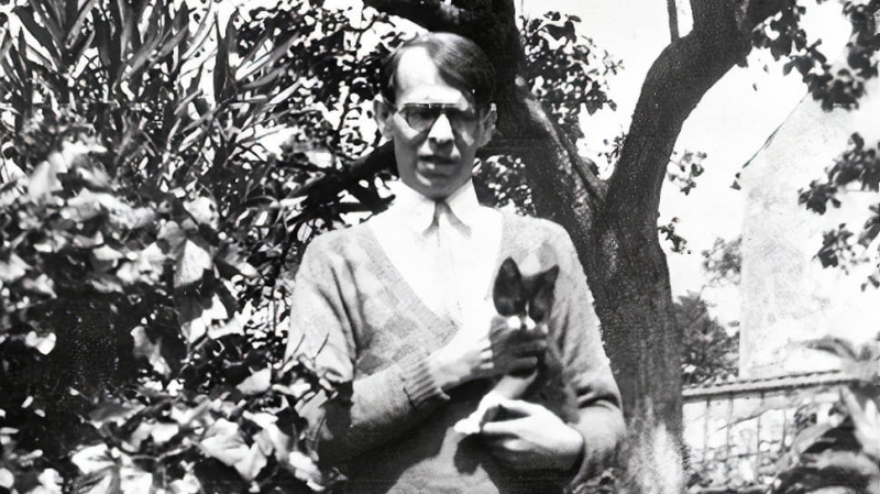 «Всем смертельно надоело высказываться»