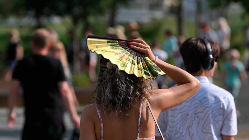 Синоптики предупредили москвичей о жарком и солнечном дне 11 июля