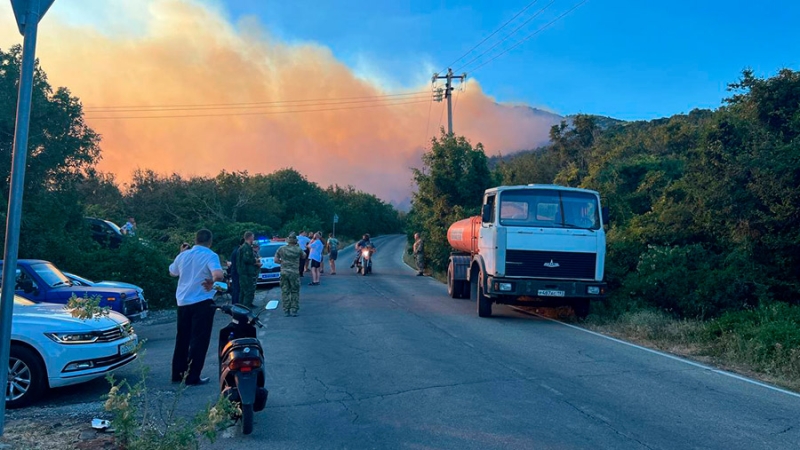 В МЧС сообщили об одном пострадавшем в результате лесного пожара под Новороссийском